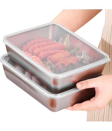 SHARUJA Ovan Safe Steel Silver Food Container ( Set of 2 )
