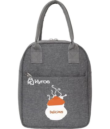 Kyros Grey Polyester Lunch Bag Pack of 1