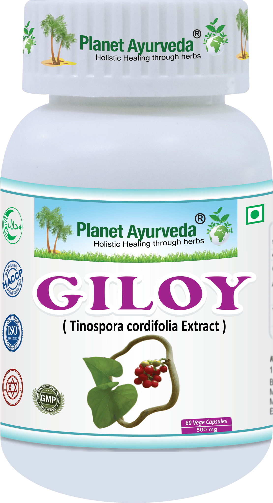 Planet Ayurveda Giloy (Tinospora Cordifolia Extract) 60 Veg Capsules 500mg