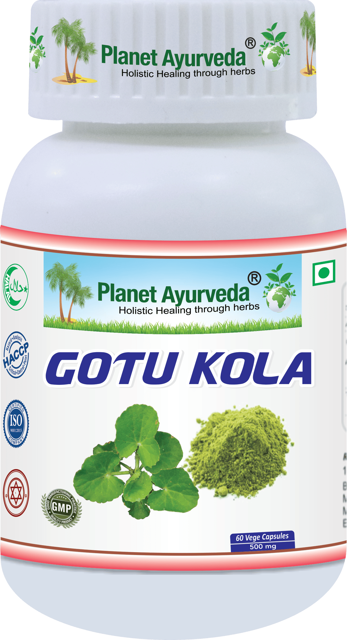  Planet Ayurveda Gotu Kola - 60 Capsules, 500mg - Supports Brain Function, Memory, and Focus - Ayurvedic Supplement for Overall Well-being