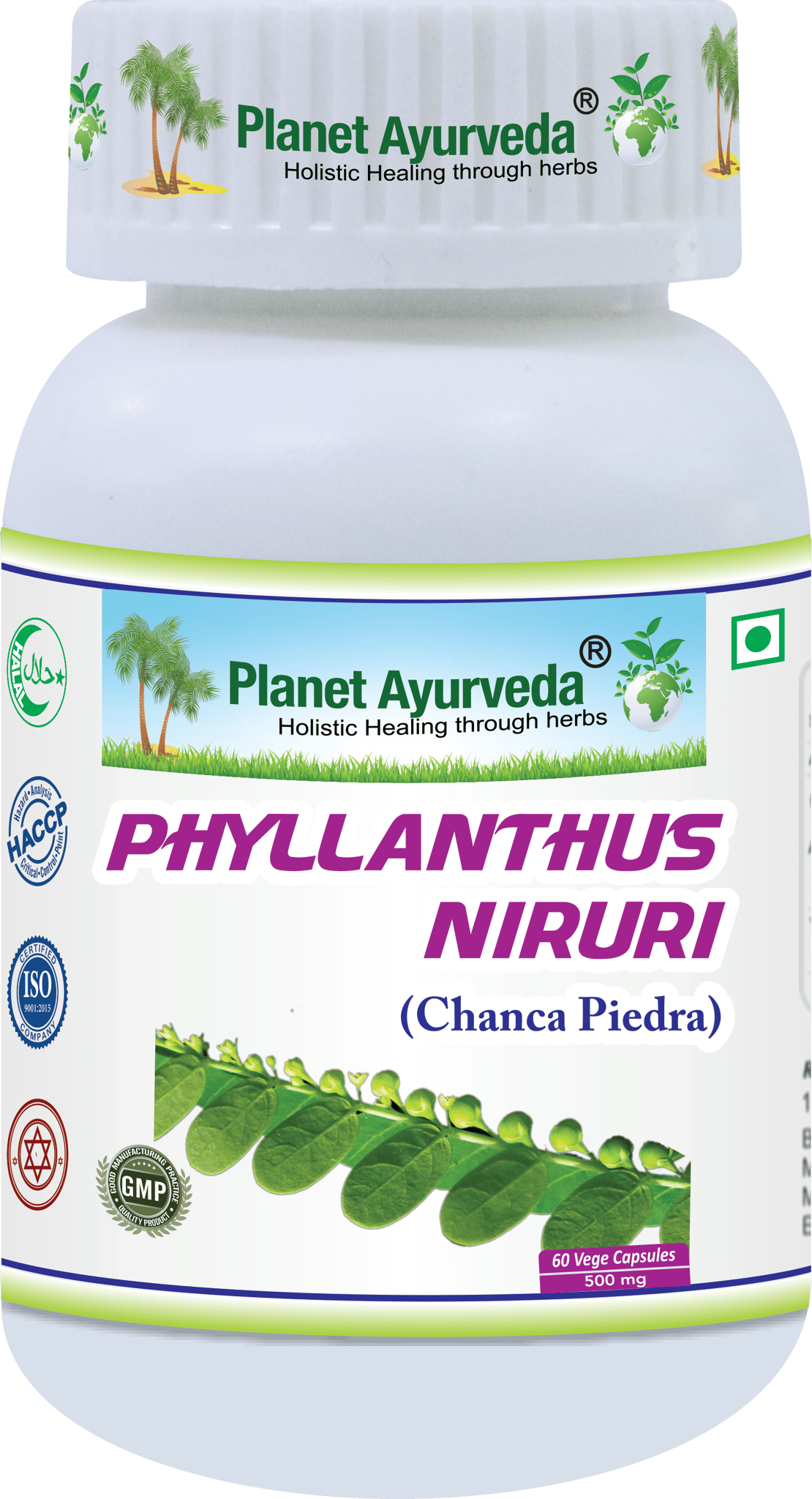 Planet Ayurveda Phyllanthus Niruri (Chanca Piedra) 60 Capsules