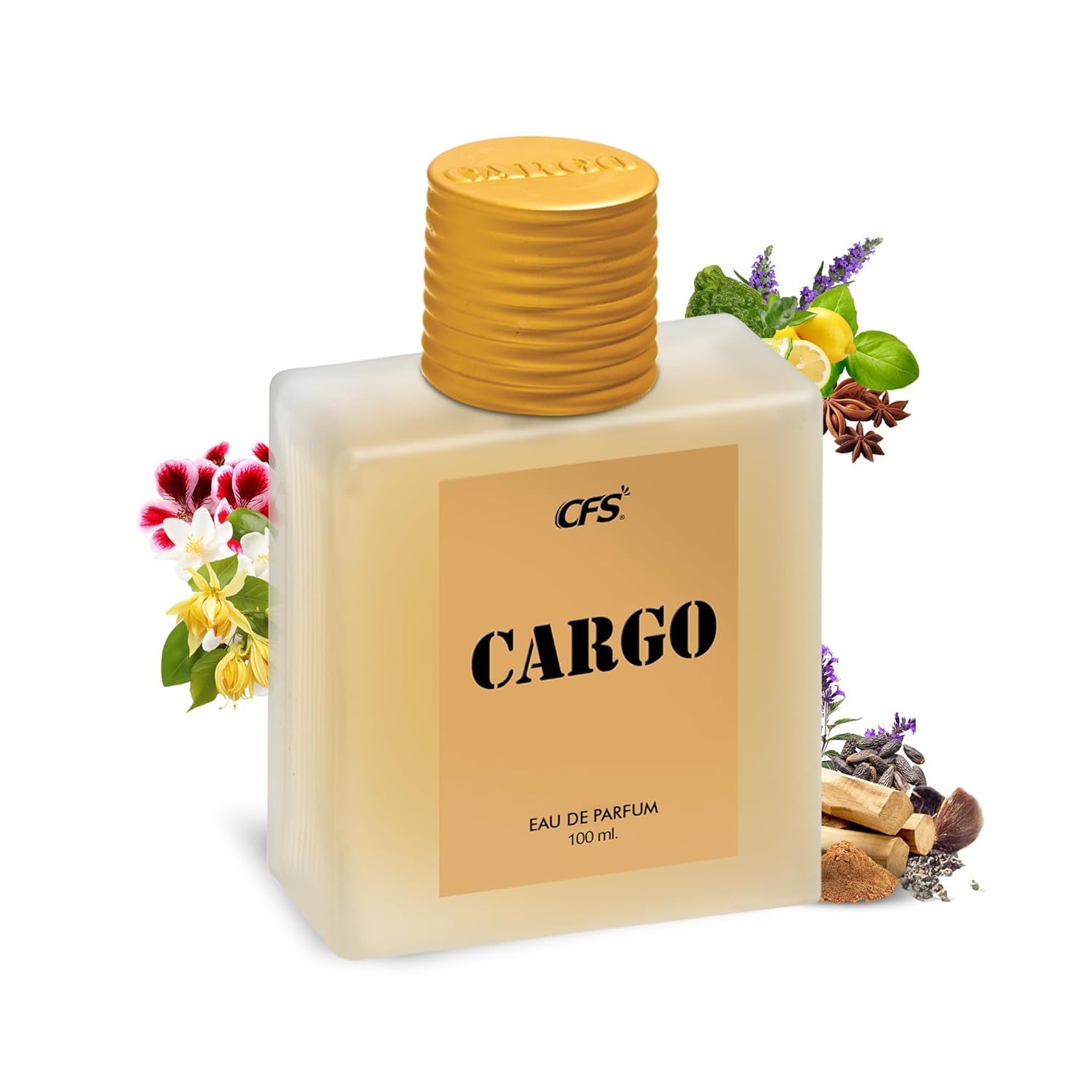 CFS CREATIVE FRAGRANCE SERIES Cargo Khakhi Perfume Spray For Men, 100ml - Patchouli, Jasmine, Sandalwood & Lavender