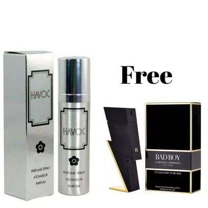 HAVOC Silver Eau de Toilette - 75 ml  (For Women)