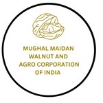 Mughal Maidan Walnut and Agro Producers Cooperative.