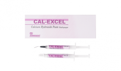  Ammdent Cal Excel