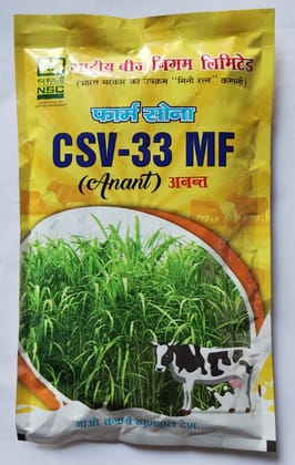 NSC Fodder Sorghum/CSV33MF (Anant)/TL