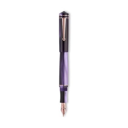 Delta Write Balance Purple GT Fountain Pen-M