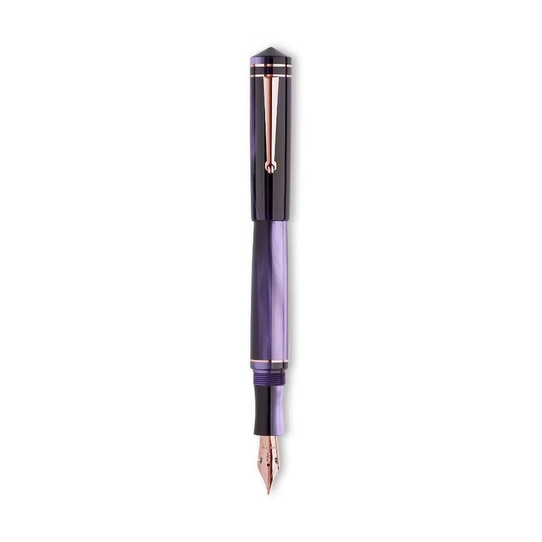Delta Write Balance Purple GT Fountain Pen-M