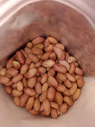 Groundnut