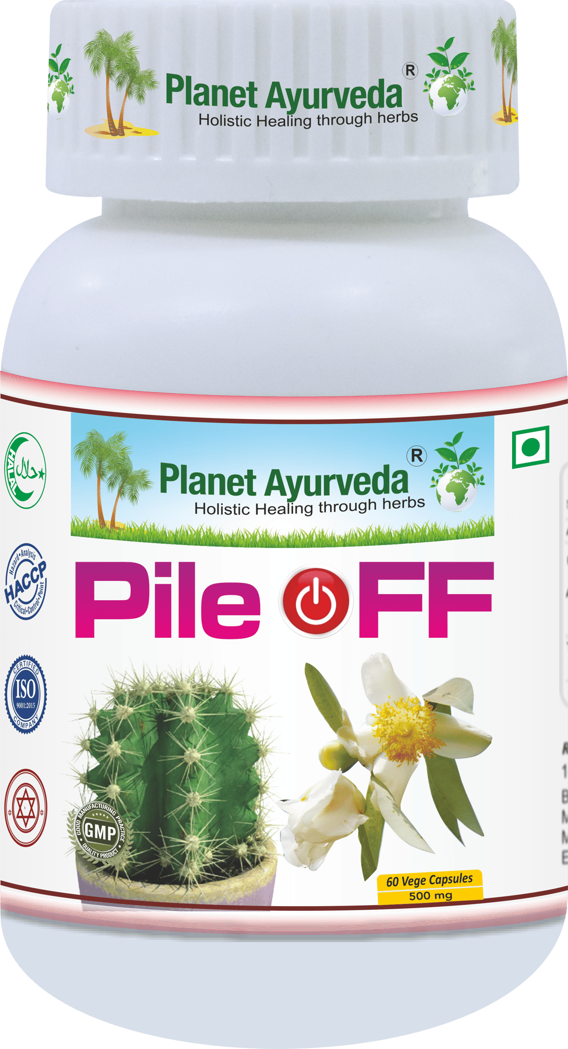 Planet Ayurveda Pile OFF - 60 Capsules