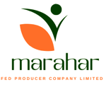 Marahar FED Producer Company 