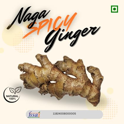 Naga Spicy Ginger - Fresh Organic Ginger from Nagaland | 100% Organic (pack of 3)