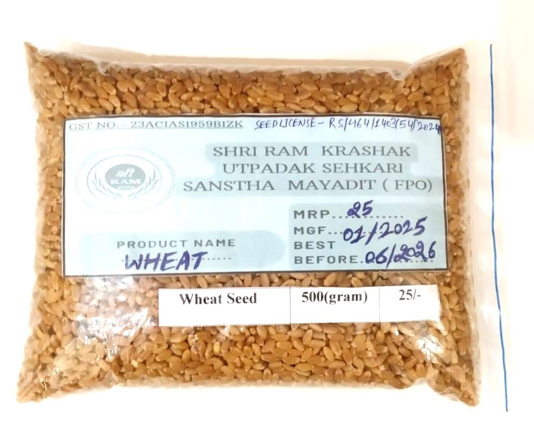 Wheat Seeds