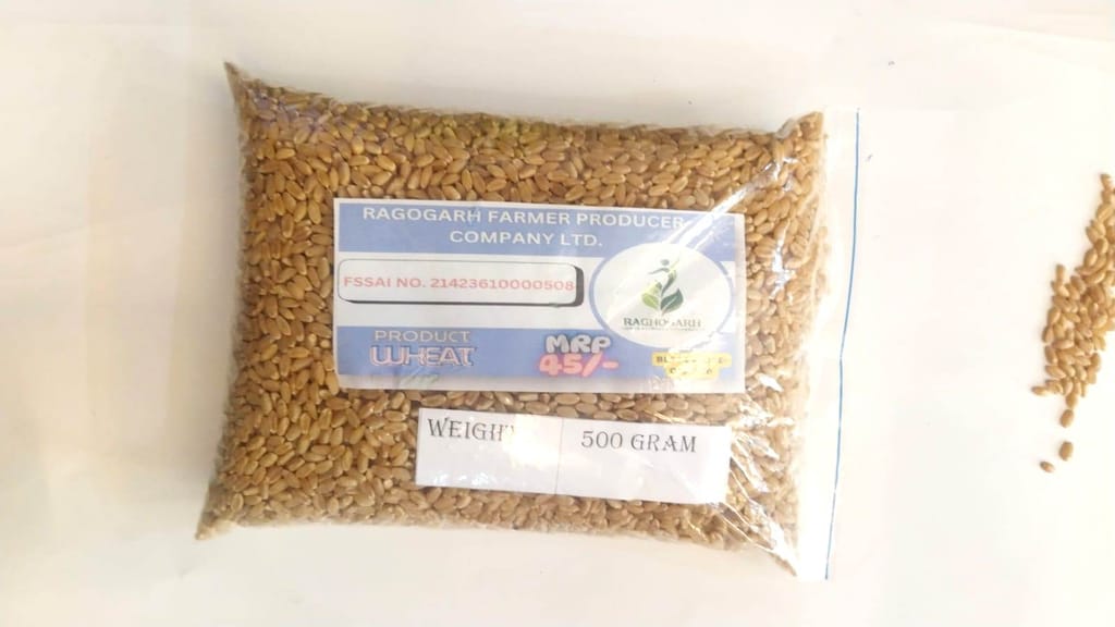 Whole Grain Wheat