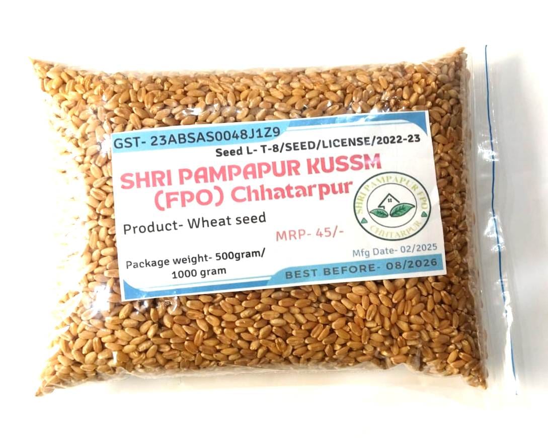 Wheat Seed