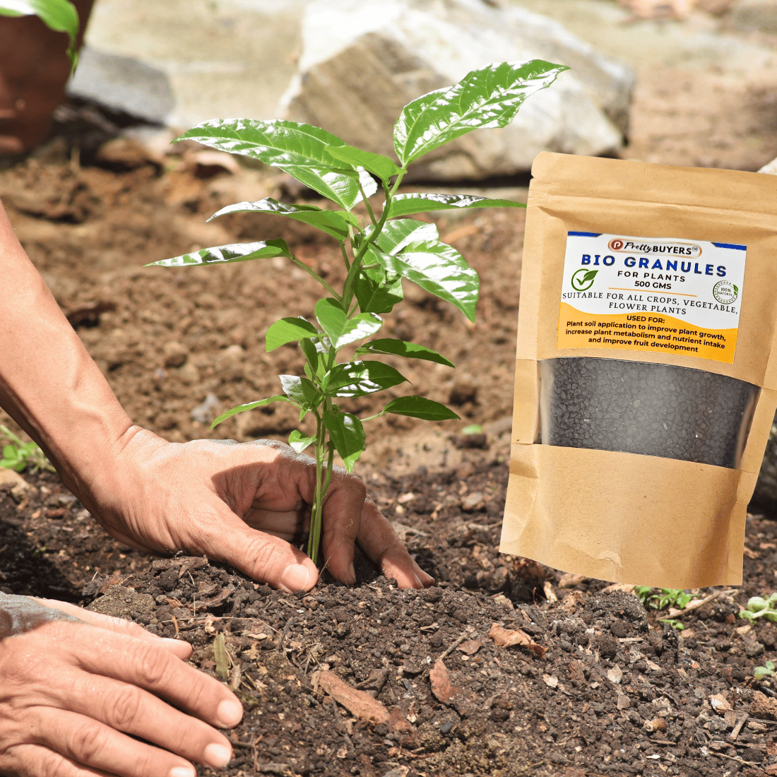 PrettyBUYERS Bio Granules for Plants | Plant food for Root Growth, High Yield, Overall Plant Development 500GM (Pack Of 1)