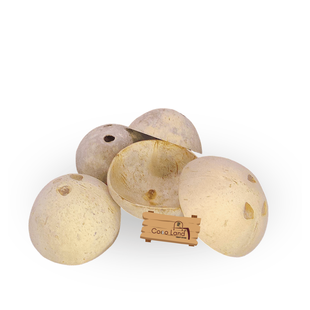 Coco Land White Holed Coconut Shell Finished Raw Craft | Decorative Pots,Craft Making | Handicraft,Agricraft