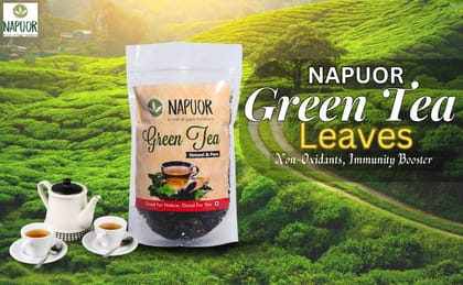 NAPUOR Organics Green Tea Leaves | Unoxidised | Handpicked | Whole Long Leaf Premium Green Tea | Anti-Oxidants, Immunity Booster | 150 Grams