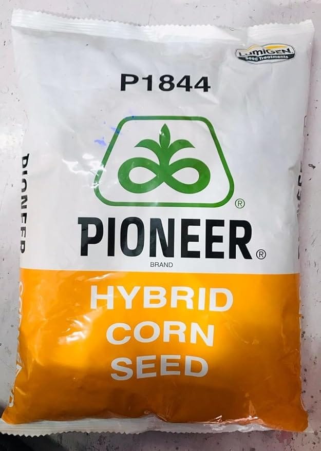 P1844 Pioneer hybrid corn seed