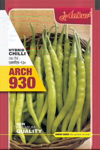 930 Chilli Seeds