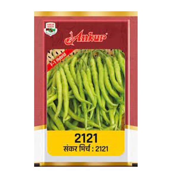 2121 Chilli seeds