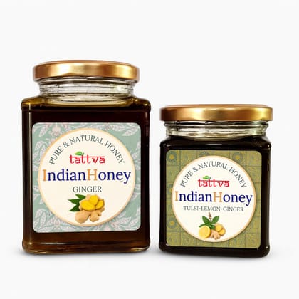 IndianHoney Warming & Anti-Inflammatory Ginger Infused Honey & Warming & Anti-Inflammatory Ginger Infused Honey Combo Pack (500gm & 230gm)