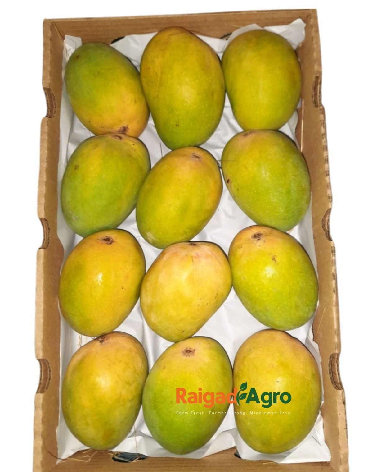 Devgad & Ratnagiri, Raigad Alphonso Mangoes (pack of 3)