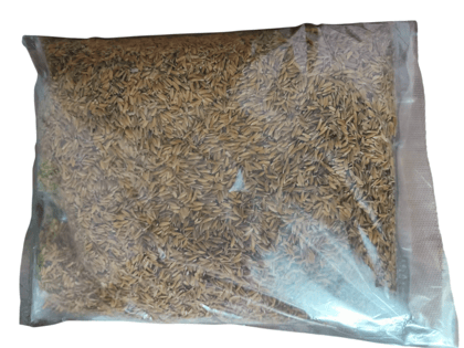 Paddy Husk for gardening , soil mix