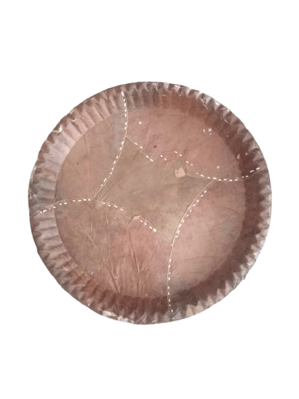 Natural Areca Leaf Plates | Disposable and Biodegradable | 12 Inches | Pack of 15**