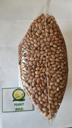 Groundnut