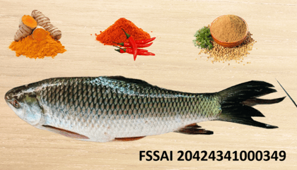"Fresh Katla Fish (1 kg) - Cleaned & Cut, Ready to Cook"