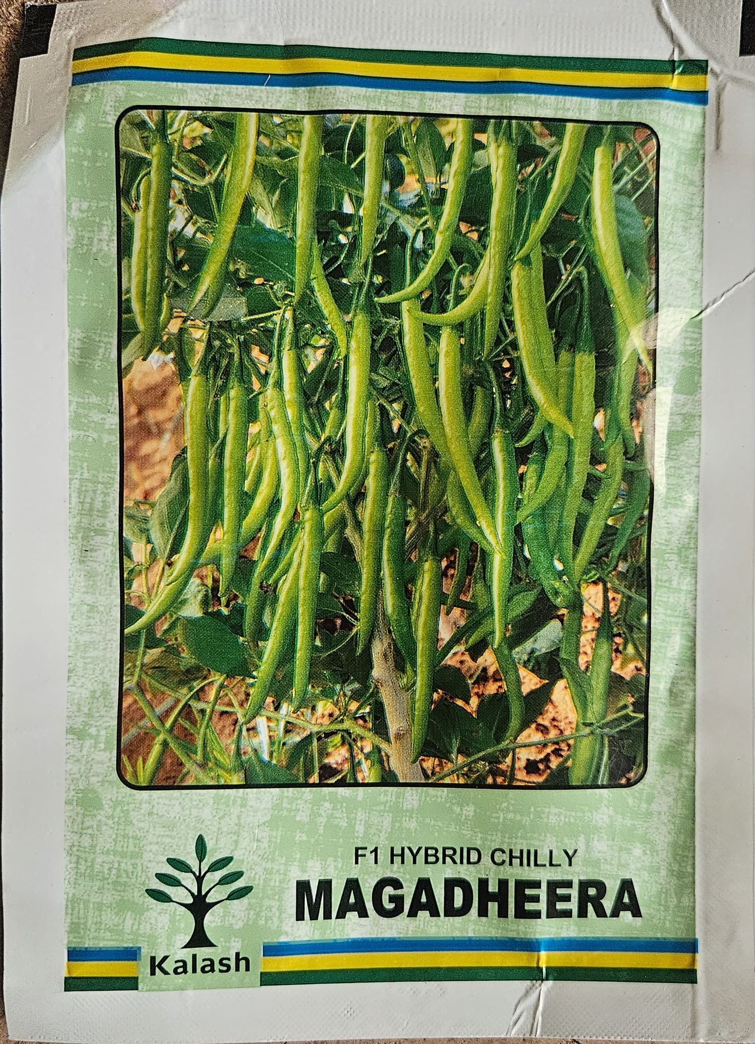 Magadheera F1 Hybrid Chilli Seeds