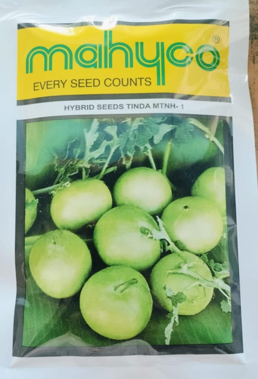 Tinda MTNH 1 Seed