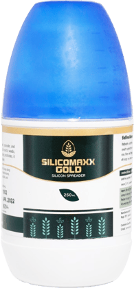 SilicoMaxx Gold