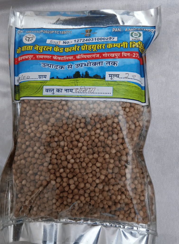 Coriander