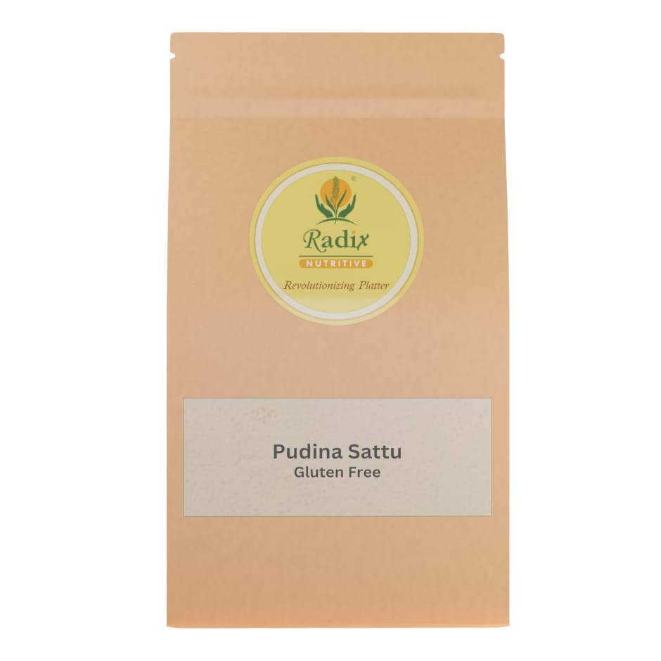 Radix Nutritive® Pudina Sattu with Moringa - Gluten free