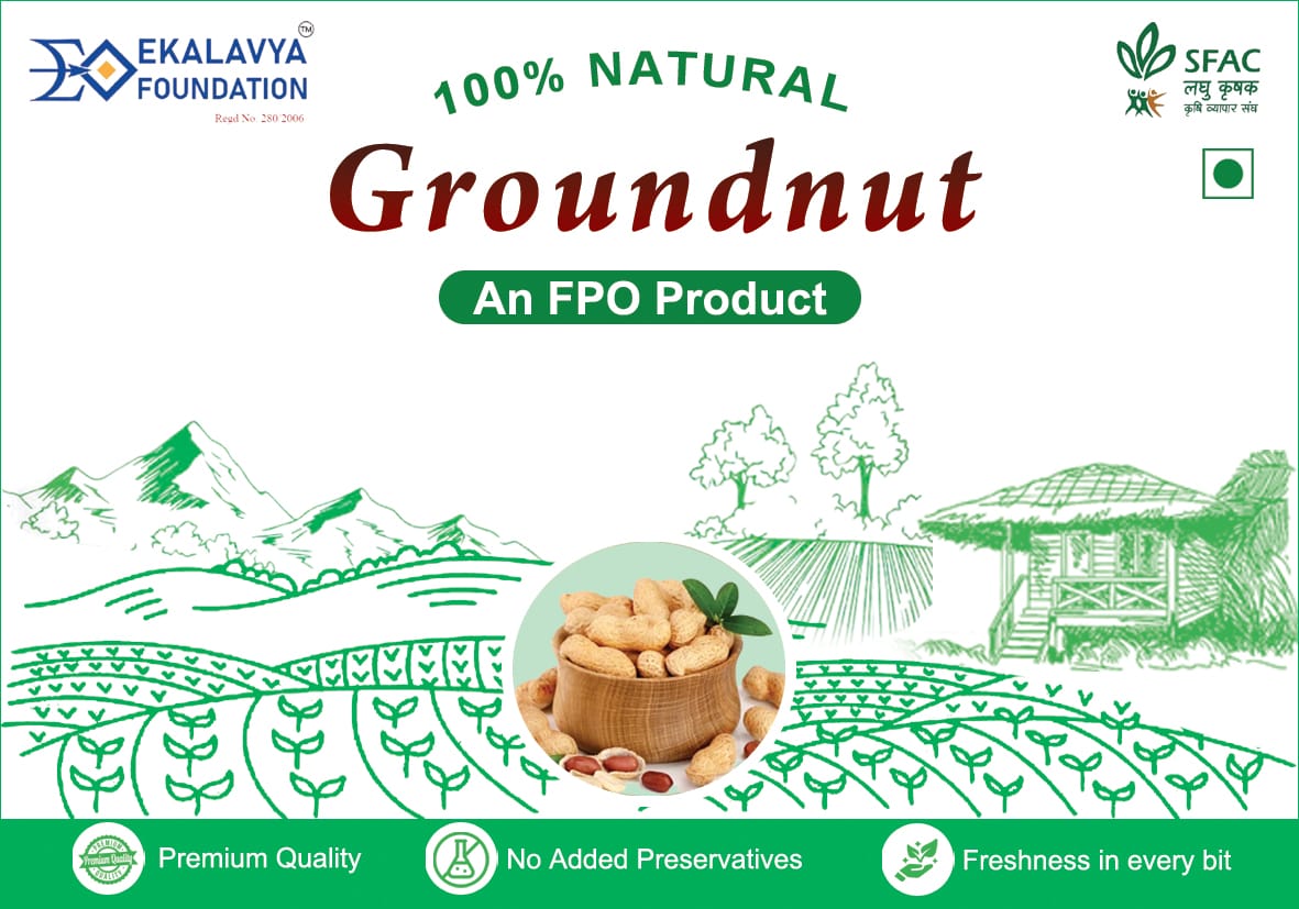 Groundnut