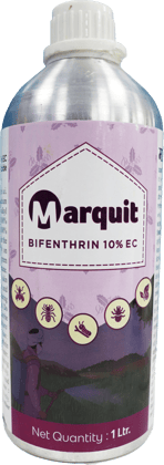 Marquit