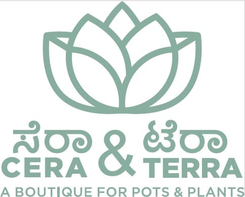Cera And Terra Home Decor