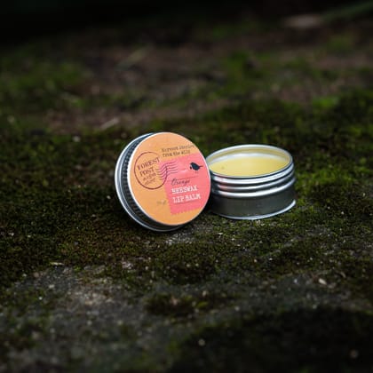 Orange Beeswax Lip Balm (10 Gram) (1TOROTHTN03192)
