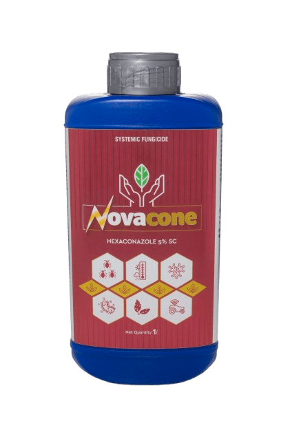 Novacone