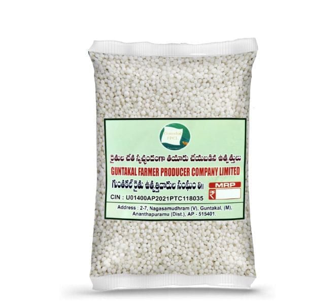 Saggubiyyam