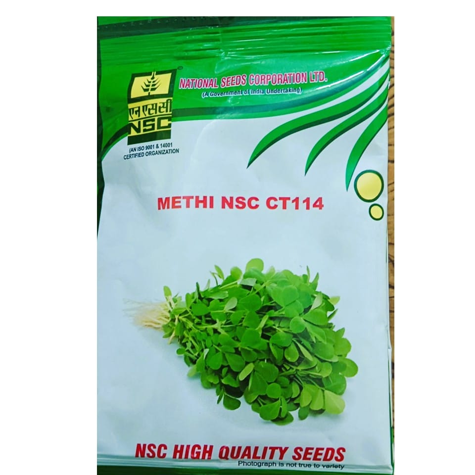 NSC Methi Variety NSC CT 114 Vegetable Kitchen Garden Packets 40 gm Truthful Labelled Seed (4 Pouches)