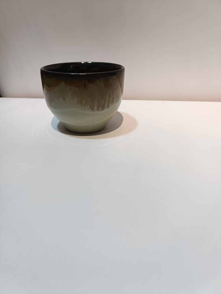 Small Snake Plant in Ceramic Pot