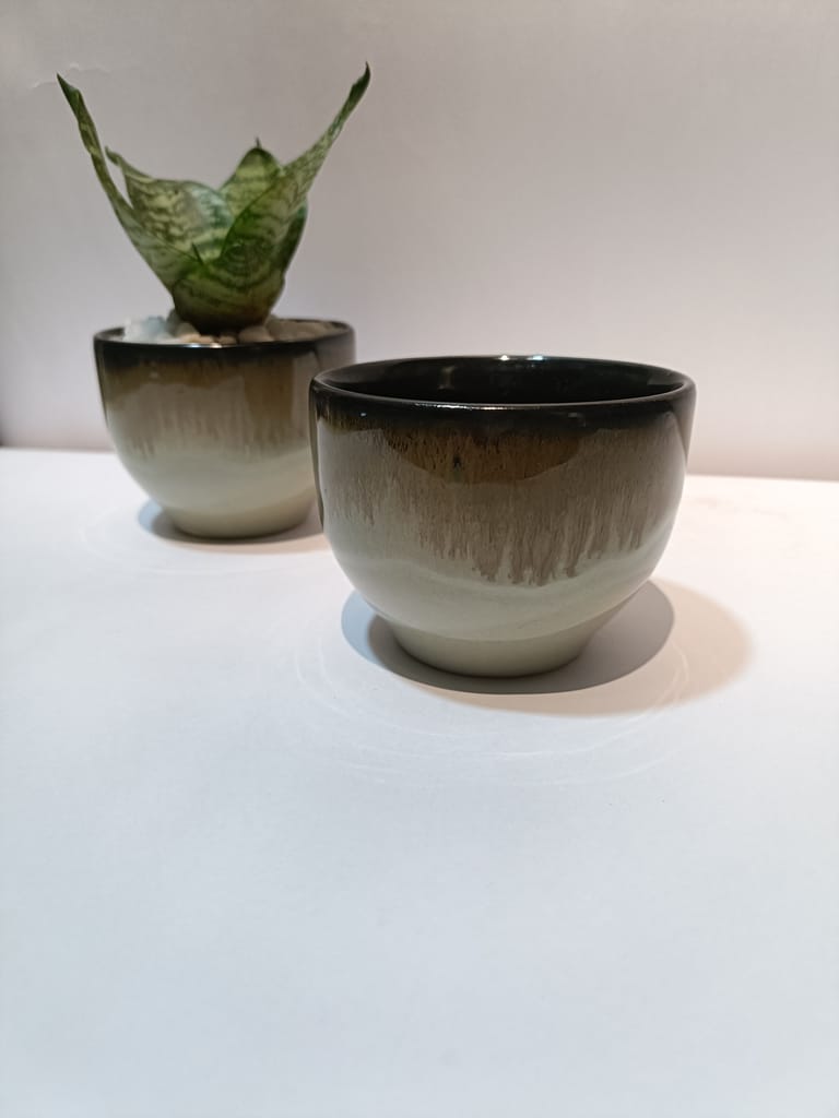 Small Snake Plant in Ceramic Pot