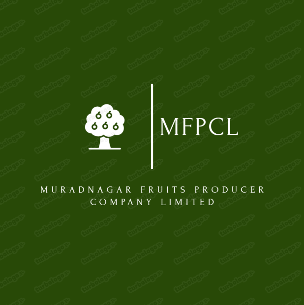 Muradnagar fruits producer company limited