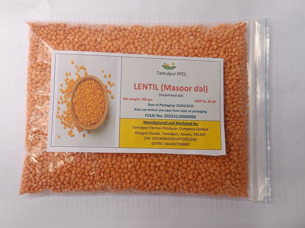 Lentil