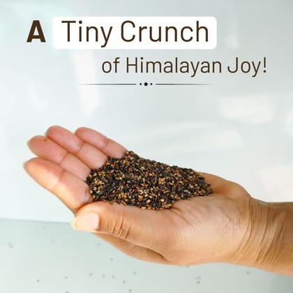 Mountain Bawarchi Sesame Seeds | Pahadi Till Seeds for Eating | Black Sesame Seeds (250g)