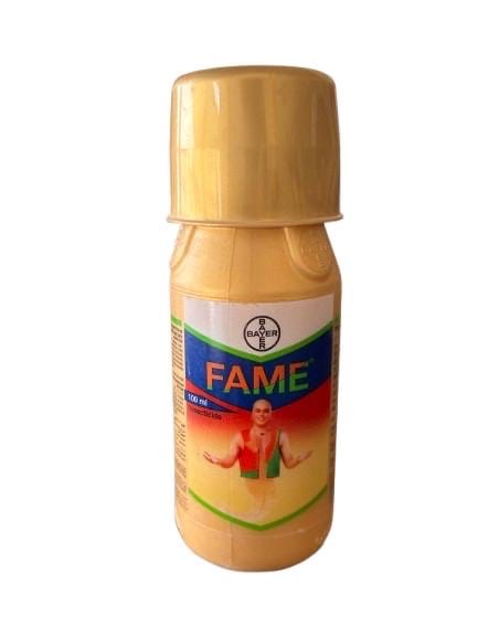 Fame - 100 ml