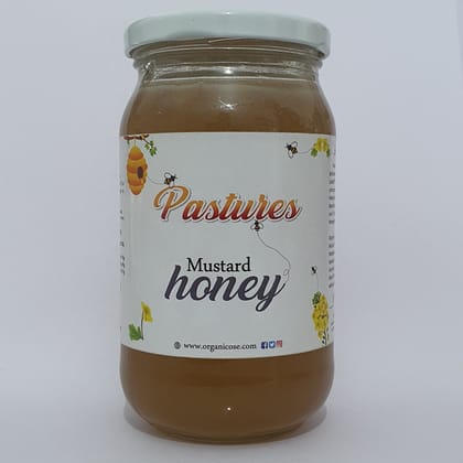 Pastures White Cream Mustard Honey 500gms